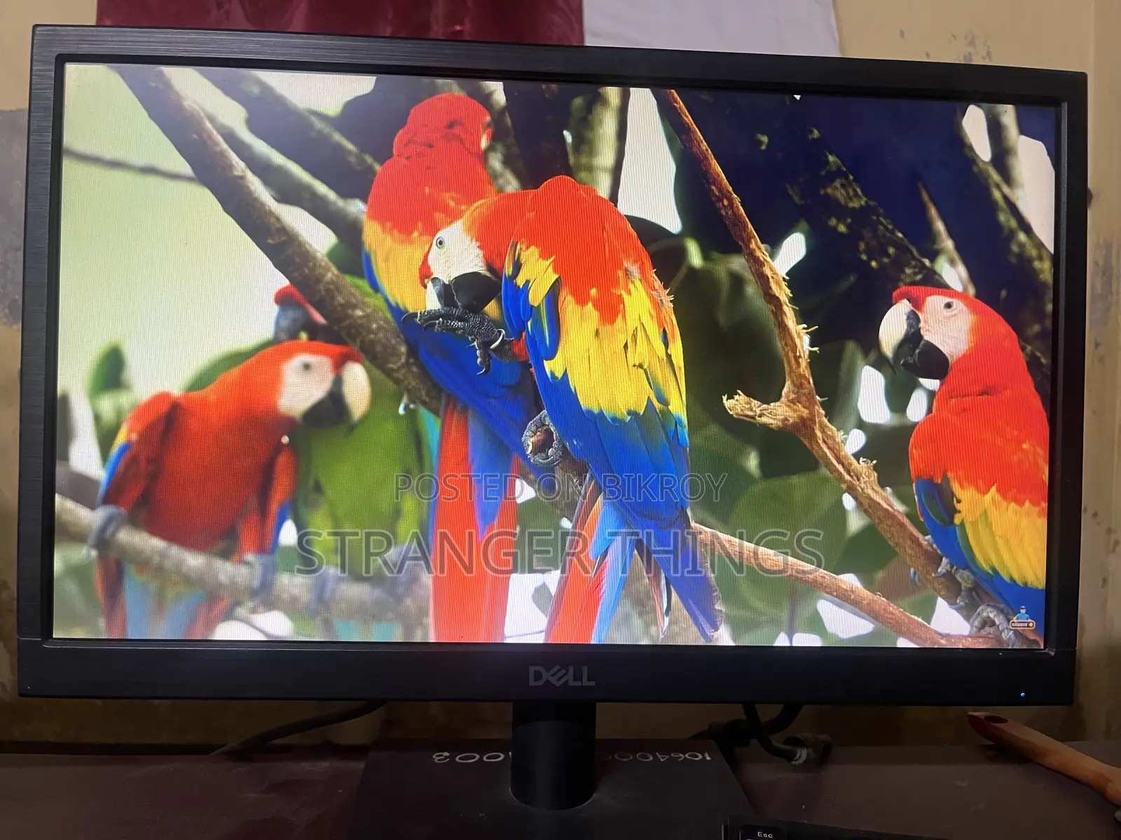 Dell D1918H 18.5" LED Monitor