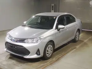 Toyota Axio 2021 Silver
