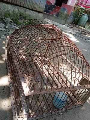 পাখির বড় খাঁচা।