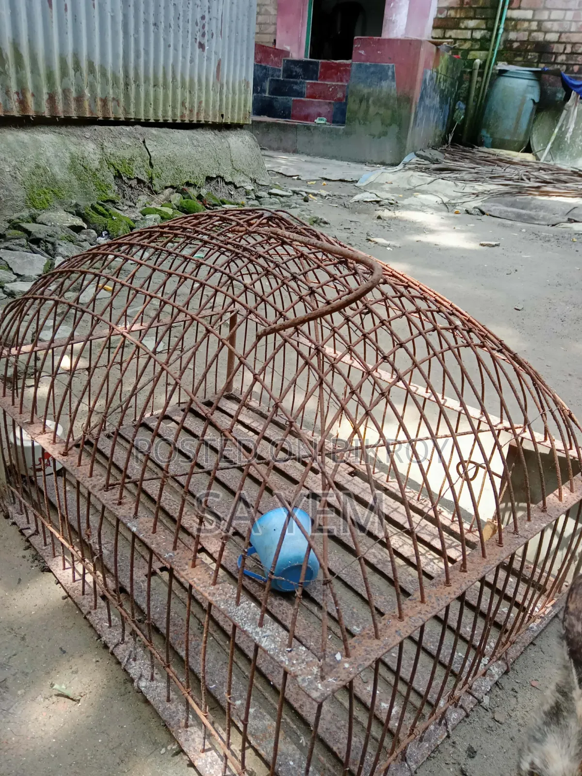পাখির বড় খাঁচা।