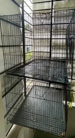Two 12/18 Painted Bird Cages