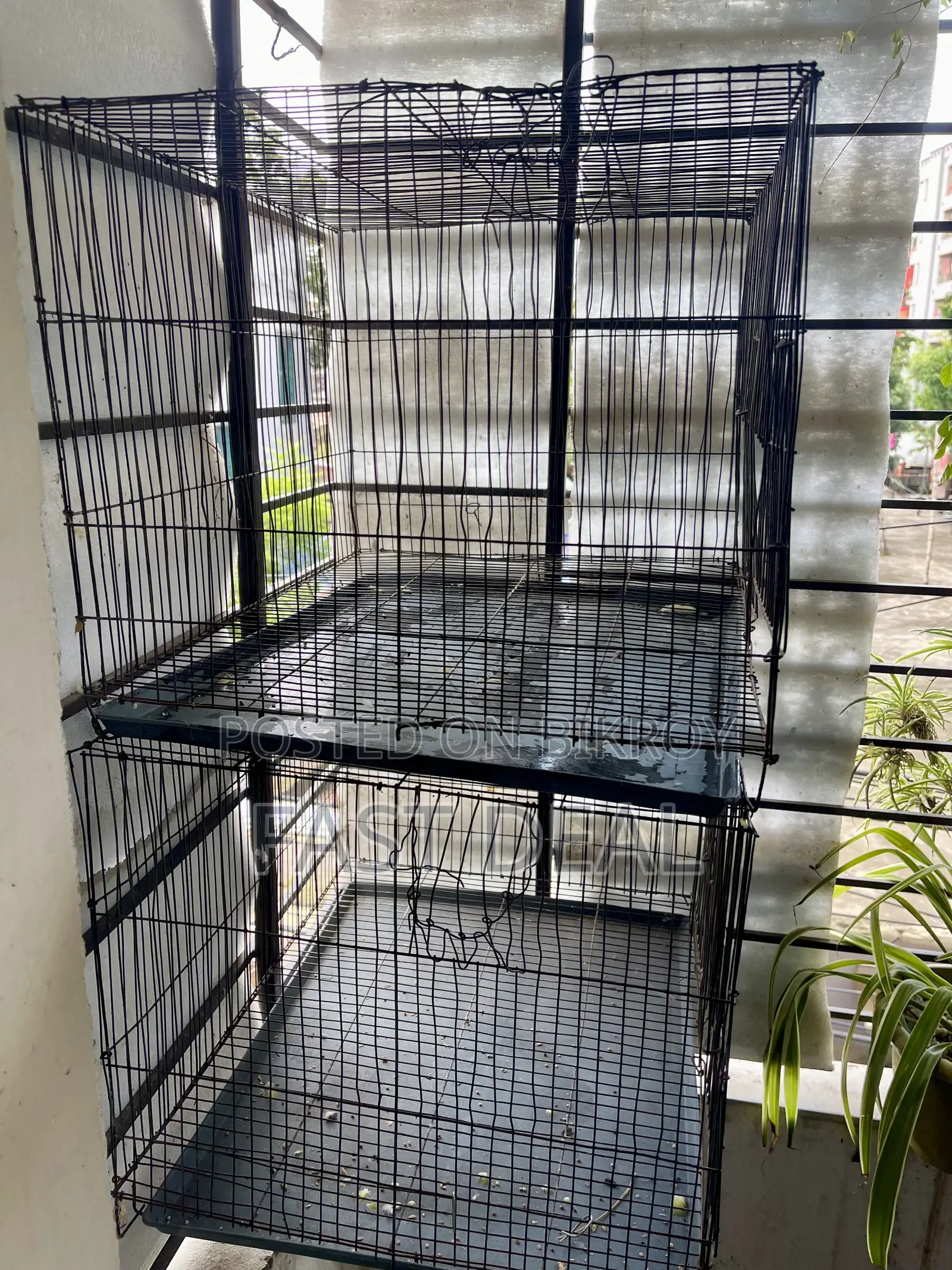 Two 12/18 Painted Bird Cages
