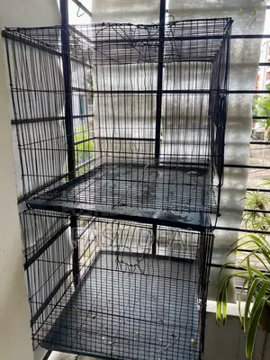 Two 12/18 Painted Bird Cages