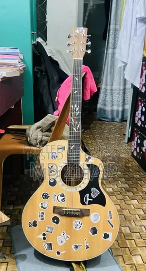 Axc প্রিমিয়াম সেগমেন্ট গিটার