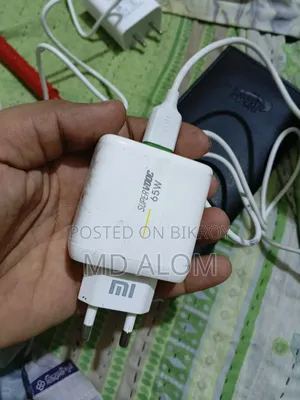 Mi 65W Fast Charger