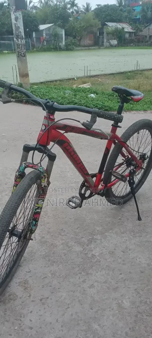 ফিনিক্স সাইকেল