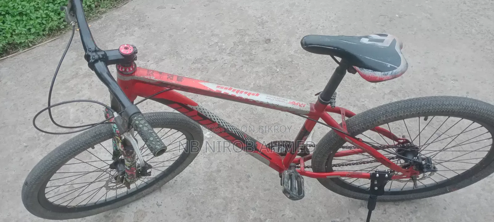 ফিনিক্স সাইকেল
