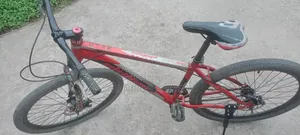 ফিনিক্স সাইকেল