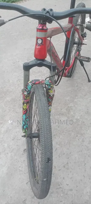 ফিনিক্স সাইকেল