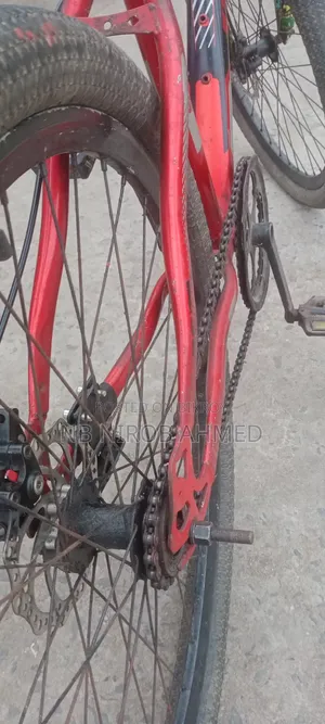 ফিনিক্স সাইকেল