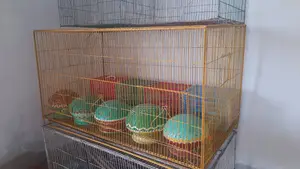 Selling Cage