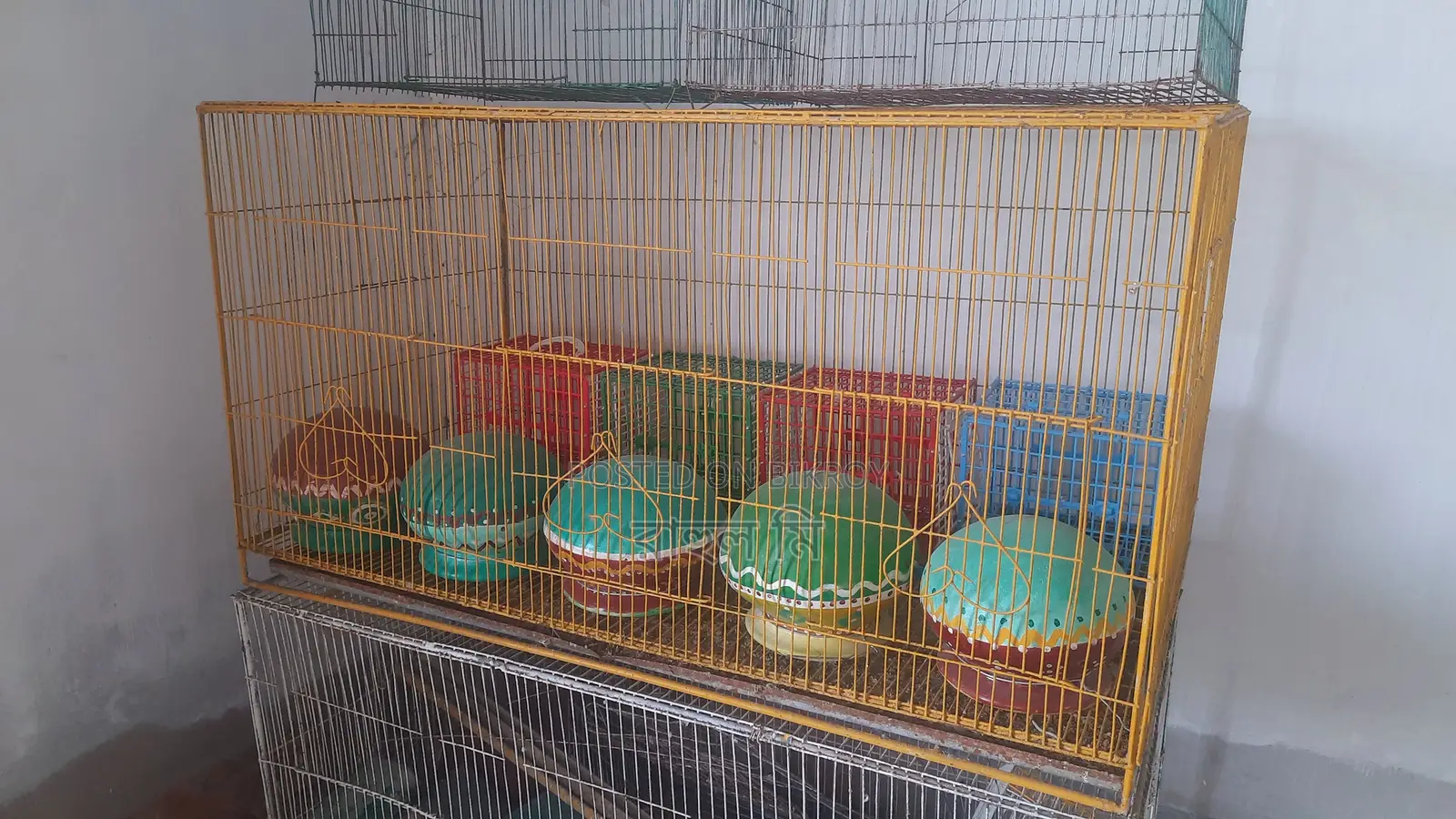 Selling Cage