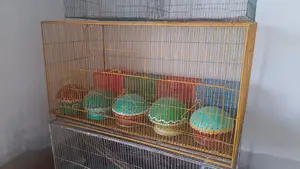 Selling Cage
