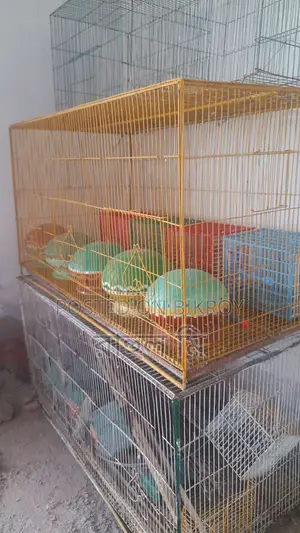 Selling Cage