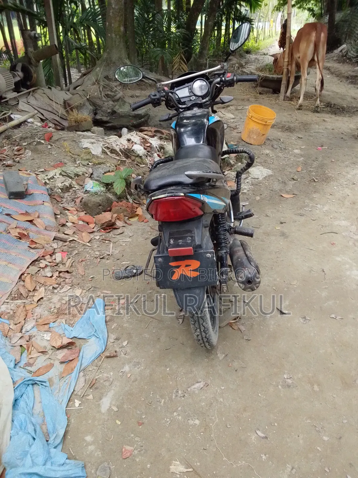 ডেসপেরাডো ডেসপেরাডো ২০১৭ নীল