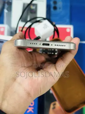 Apple iPhone 15 Pro Max 256 GB Silver
