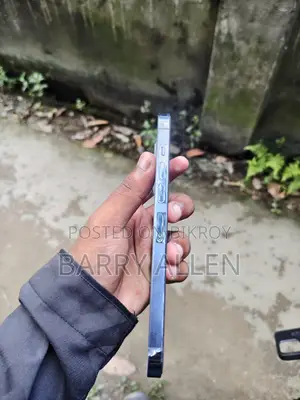 অ্যাপল আইফোন ১৩ প্রো ম্যাক্স ২৫৬ জিবি ব্লু