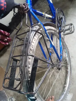 সাইকেল এবং বাইসাইকেল