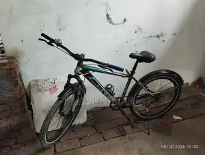 সাইকেলটি অনেক ফ্রী। দ্রুত চলে।