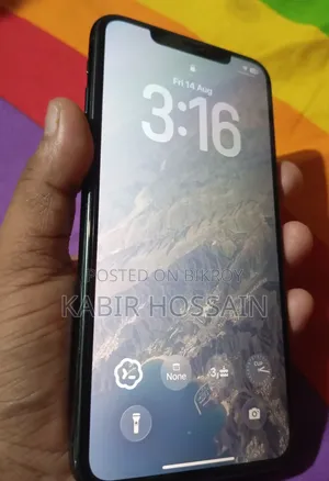 অ্যাপল আইফোন ১১ প্রো ম্যাক্স ২৫৬ জিবি গ্রিন