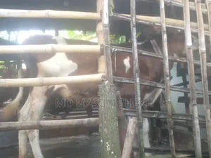 Very Good Cow