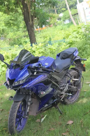ইন্ডিয়ান ২০২০ নীল