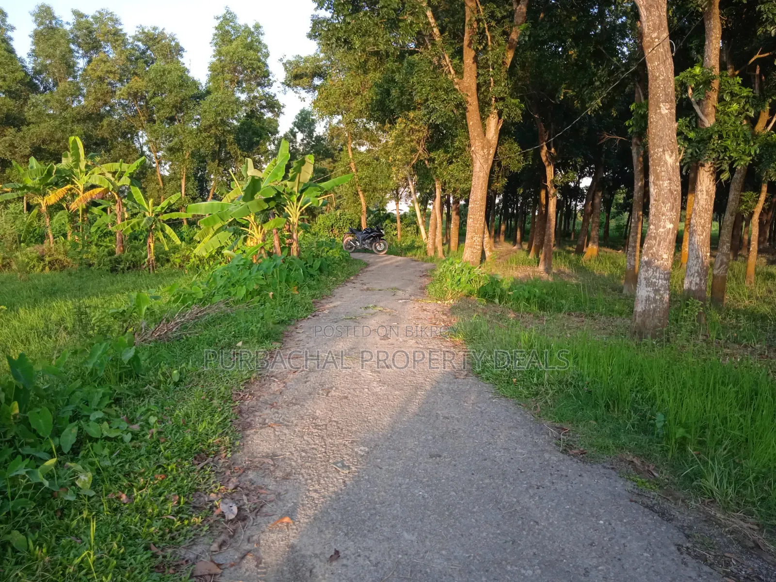 75 Decimal Land for Sale — Kaliganj, Gazipur | Adjacent to 12 Feet Road