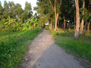 75 Decimal Land for Sale — Kaliganj, Gazipur | Adjacent to 12 Feet Road
