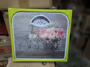 ম্যানুয়াল বাথরুম স্কেল (ক্যামরি) মডেল বিআর-২০১৫