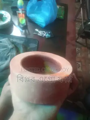 পাখির খাবারের পাত্র মাটির