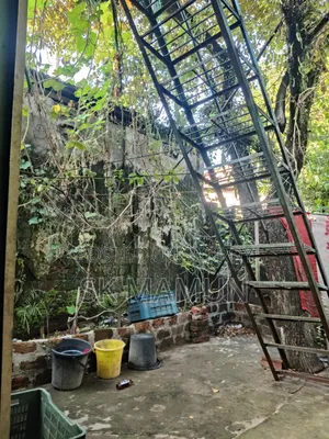 ওয়ানপ্লাস ৯আর ২৫৬ জিবি