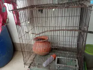 পাখির খাঁচা
