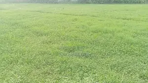 Keraniganj, Dhaka 6.66 decimals land for sale