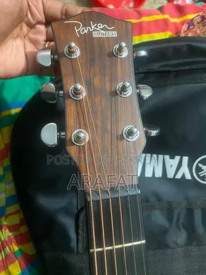 Parker Ls-570 গিটার বিক্রয়ের জন্য