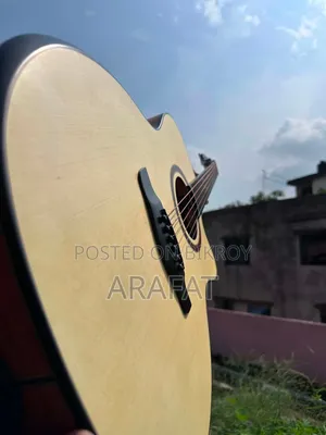 Parker Ls-570 গিটার বিক্রয়ের জন্য