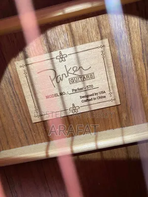 Parker Ls-570 গিটার বিক্রয়ের জন্য