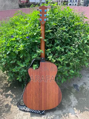 Parker Ls-570 গিটার বিক্রয়ের জন্য