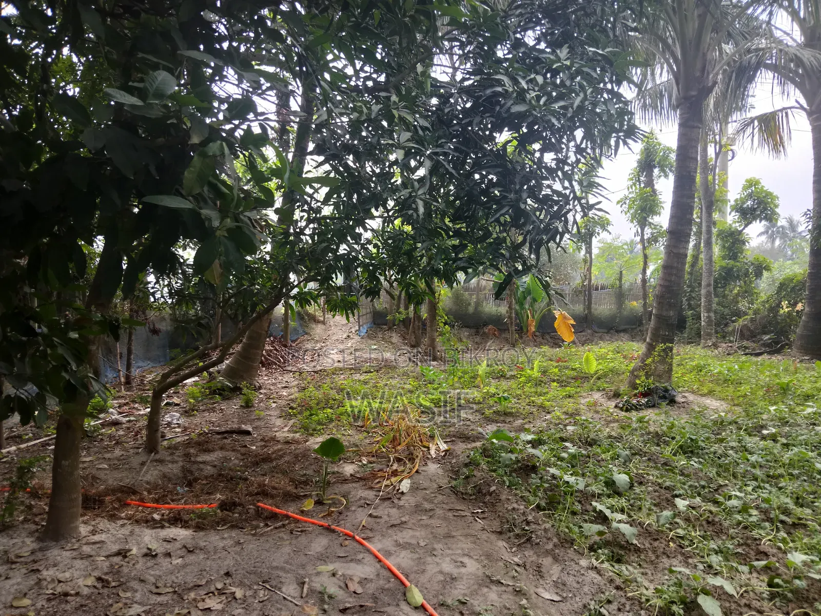 10 Katha Land for Sale in Batiaghata, Khulna