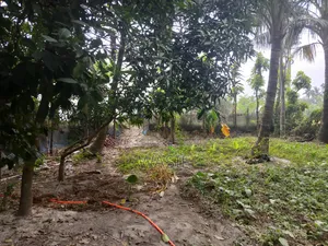 10 Katha Land for Sale in Batiaghata, Khulna