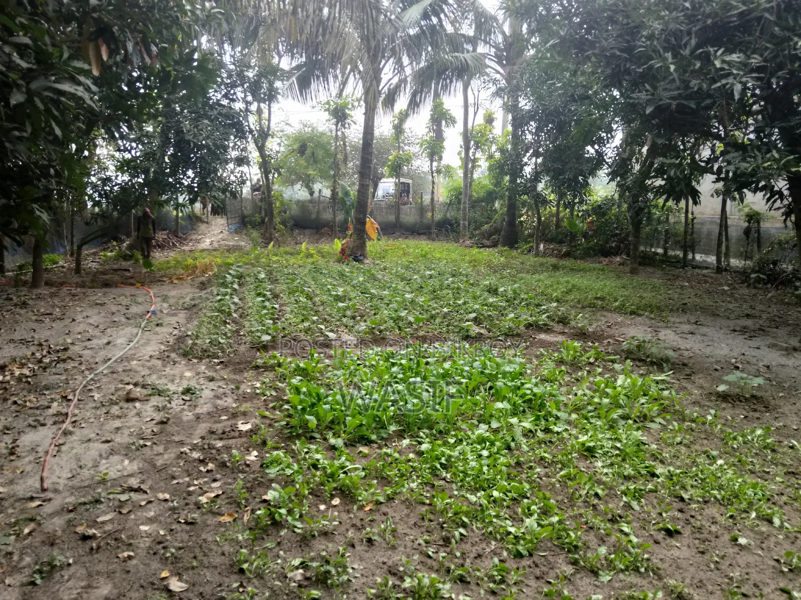 10 Katha Land for Sale in Batiaghata, Khulna