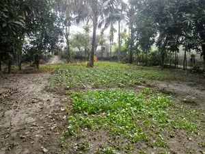 10 Katha Land for Sale in Batiaghata, Khulna