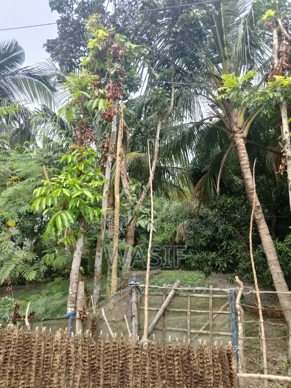 10 Katha Land for Sale in Batiaghata, Khulna