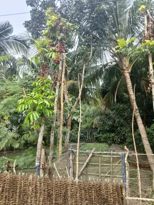 10 Katha Land for Sale in Batiaghata, Khulna