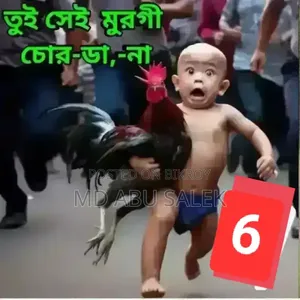 নতুন বছরের প্রথম আমদানি কিছু মুরগ