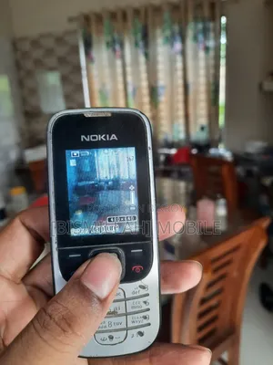 Nokia 2330 classic Silver