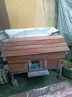 Chicken Cage