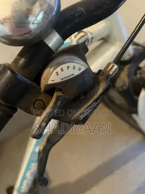 প্রিন্স আর্জেন্টিনা ২৬ ইঞ্চি মাউন্টেন বাইক খুব কম ব্যবহৃত অবস্থা