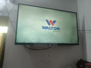 45 Inch Walton TV