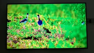 Samsung Smart TV - 43" AU 7700
