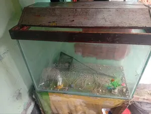 বড় একুরিয়াম